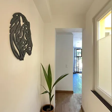 201 Loft Lumineux En Hyper-centre *