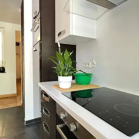 Apartamento 201 Loft Lumineux En Hyper-centre *